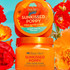 Tree Hut Sunkissed Poppy Shea Sugar Body Scrub 510g