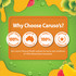 Caruso's Ginkgo Gummies 60 Pastilles
