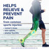 Dr.Scholl's™ Run Insole Small