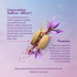 Caruso's Saffron + L-Theanine 30 Tablets