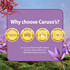 Caruso's Saffron + L-Theanine 30 Tablets