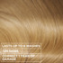 Garnier Olia Gloss - Old Money Blonde - Tinted Hair Mask, Extra Glossy, Healthy Hair With A Touch Of Colour 150ml
