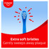 Colgate Kids Junior Bluey Battery Powered Sonic Toothbrush, 1 Pack, Extra Soft Bristles, for Children 3+ Years