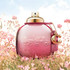 Coach Wild Rose 50ml EDP By Coach (Womens)