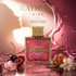 Kiss 100ml EDP By Rayhaan (Women's)