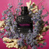 Uomo Born In Roma Extradose 100ml EDP By Maison Valentino (Men's)