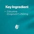Blackmores Cognition Ultra 30 Tablets
