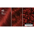 Schwarzkopf Brilliance Red Hair Dye 43 Red Passion Permanent Each
