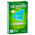 Nicorette Quit Smoking Regular Strength Nicotine Gum Classic 30 Pack
