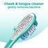Colgate 360° Deep Clean Manual Toothbrush, Medium 1 Pack