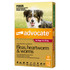 Advocate™ Fleas, Heartworm & Worms for Large Dogs 10 - 25kg - 3 Pack