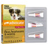 Advocate™ Fleas, Heartworm & Worms for Large Dogs 10 - 25kg - 3 Pack