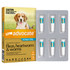 Advocate™ Fleas, Heartworm & Worms for Medium Dogs 4 - 10kg - 6 Pack