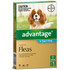 Advantage For Medium Dogs (4-10kg) 6 Pack