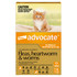 Advocate™ Fleas, Heartworm & Worms for Kittens & Small Cats Up To 4kg - 6 Pack