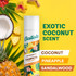 Batiste Tropical Dry Shampoo | Coconut Fragrance | Instant Hair Refresh | 200 mL