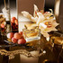 The One 75ml EDP By Dolce Gabbana (Womens)