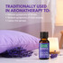 Thursday Plantation Lavender Oil Calming 25mL