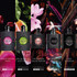 Black Opium Eau De Parfum 50ml