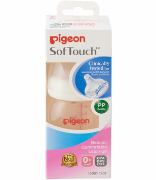 Pigeon