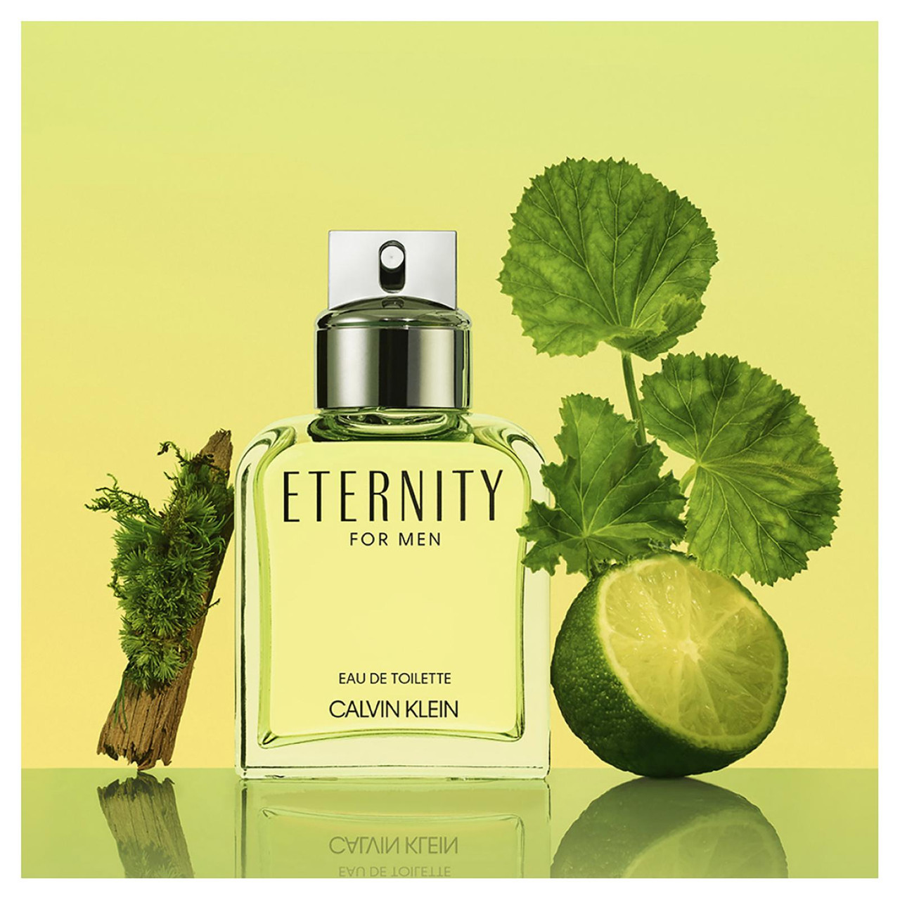 Eternity Men 200ml EDT By Calvin Klein (Mens)