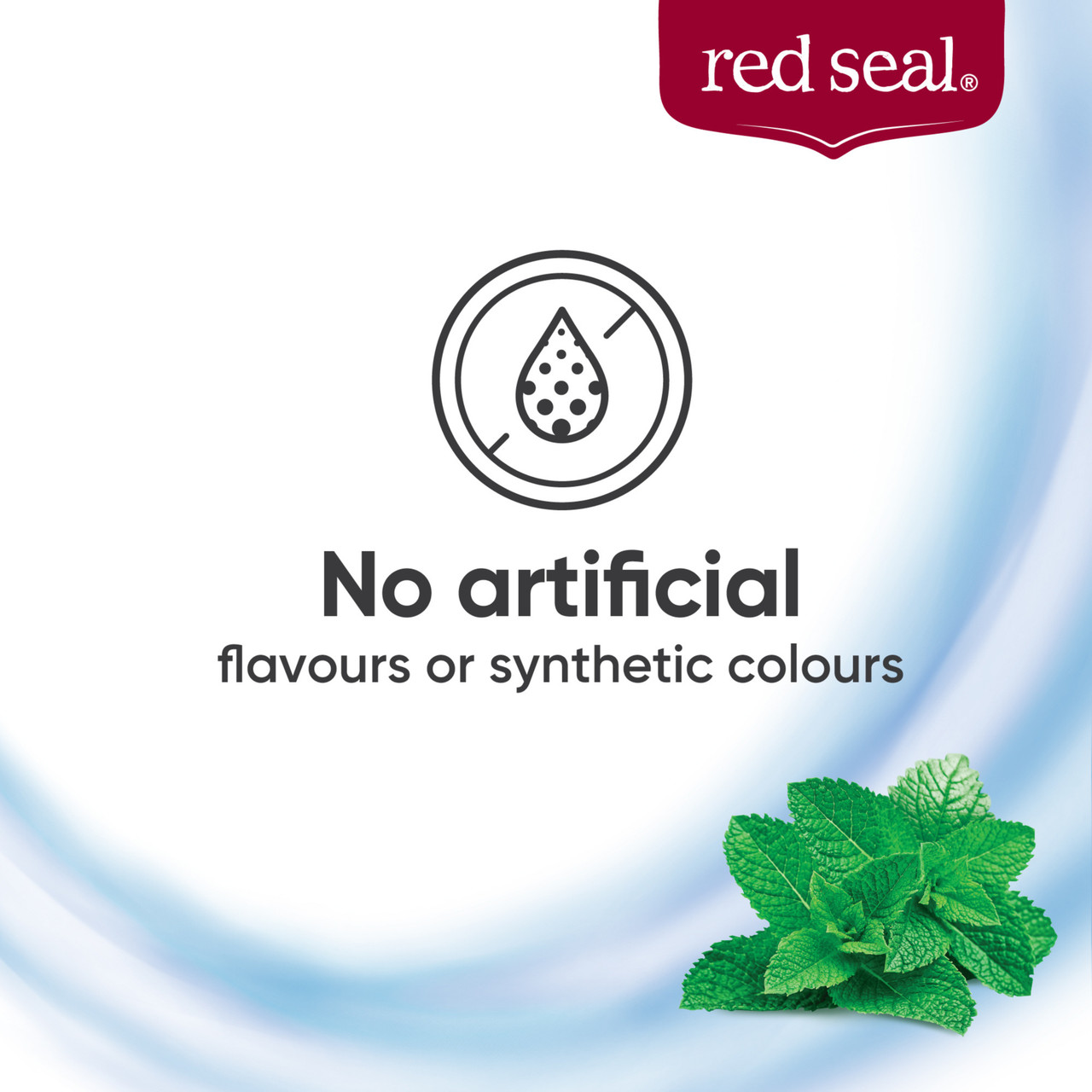 Red Seal Strong Mint Toothpaste 100g