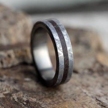 6 mm Titanium with Petrified Wood and Gibeon Meteorite Wedding Ring - P728M