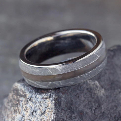 8 mm Titanium with Petrified Wood and Gibeon Meteorite Wedding Ring ...