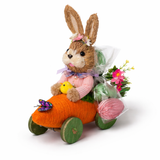CARROT WHEELS PINK - Easter Gift
