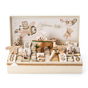 AIRPLANE TEDDY - Baby Basket Arrangement