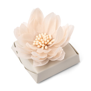 BLUSH LOVE - Decorated Chocolate 