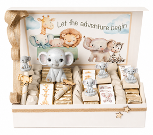 LET THE ADVENTURE BEGIN - Chocolate Arrangement