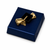 GRADUATION GOLD HAT NAVY - Decorated Chocolate