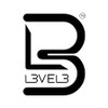 Level 3