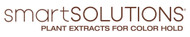 Smart Solutions by Dennis Bernard