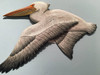 White Pelican Flying Wooden Wall Art CW326