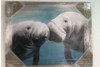 Manatees Kissing Large Artwork on Canvas