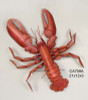 Lobster Five Pounder Cooked Wall Art