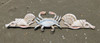 Crab and Shell Swag - Hand Carved Wood