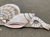 Crab and Shell Swag - Hand Carved Wood