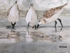 Sandpipers on Beach Painting FD46973 43x23”