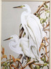 Birds of a Feather Light Grey Wood Frame 32" x 24"