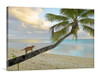 Island Cat Canvas Wrap - David Lawrence Photography