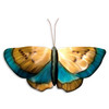 Copper Butterfly MM062