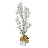 Radican Orchid on Gamal Wood Wall Art MM928W