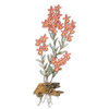 Radican Orchid on Gamal Wood Wall Art MM928 Radican Orchid on Gamal Wood Wall Art MM928