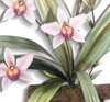 Orchid Spray II Wall Art MM923 Orchid Spray II Wall Art MM923