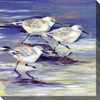 Sandpipers Outdoor Canvas