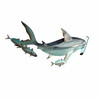 Hammerhead With Small Fish CO203