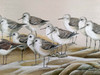 Sandpipers Meeting! Large Framed artwork 42.5" x 19"